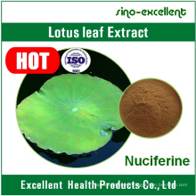 100% Natural Nuciferine 2% Lotus Leaf Powder